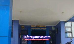 WhatsApp Image 2026-01-18 at 15.08.34