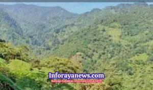 WhatsApp Image 2026-02-01 at 11.52.38