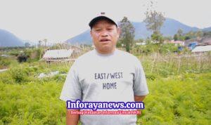 Petani Manggarai NTT: Sejak Ada MBG, Harga Wortel Kami Naik 3 Kali Lipat