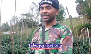 Petani NTT Bersyukur, 3.000 Pohon Buncis Terserap Semua Berkat MBG