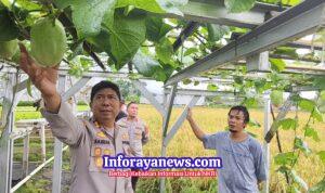 Program MBG Polres Sukabumi Didukung Sayuran Hidroponik Berkualitas