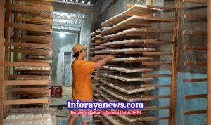 Rezeki Pengusaha Tempe dari Dapur MBG: Produksi Naik 100%, Kini Bisa Beli Mesin dan Rekrut Tetangga