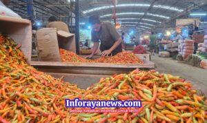 WhatsApp Image 2026-03-23 at 18.28.34