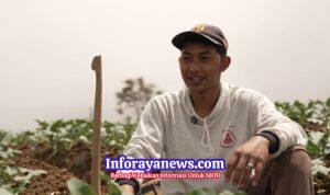 Petani Sayur di Boyolali Tersenyum Berkat MBG, Harga Naik dan Permintaan Meningkat