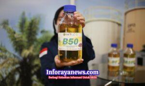 WhatsApp Image 2026-04-07 at 18.15.12