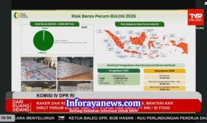 WhatsApp Image 2026-04-07 at 18.15.17