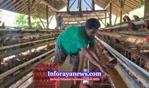 WhatsApp Image 2026-04-24 at 19.57.45